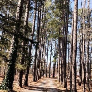 Meet your Posher, Halley